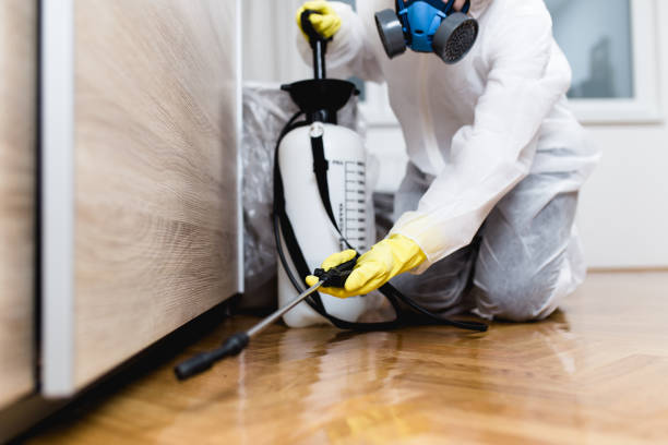 Best Pest Removal Services  in Alanes Ridge, CA