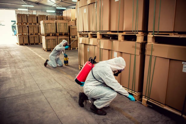 Best Pest Removal Services  in Alanes Ridge, CA