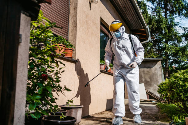 Best Mosquito Control Services  in Alanes Ridge, CA