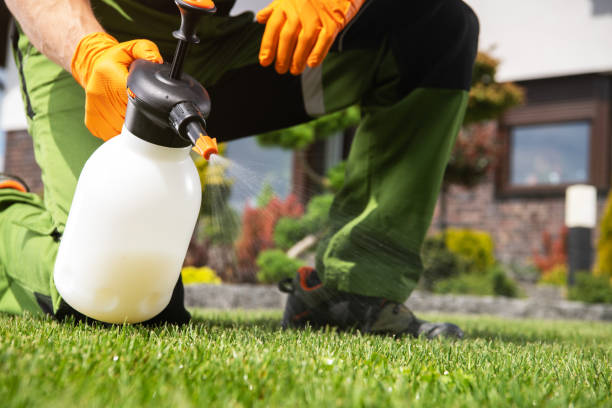 Best Residential Pest Control  in Alanes Ridge, CA
