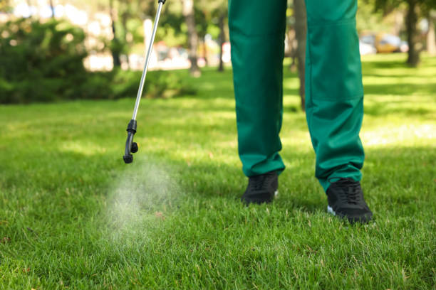 Best Bed Bug Extermination  in Alanes Ridge, CA