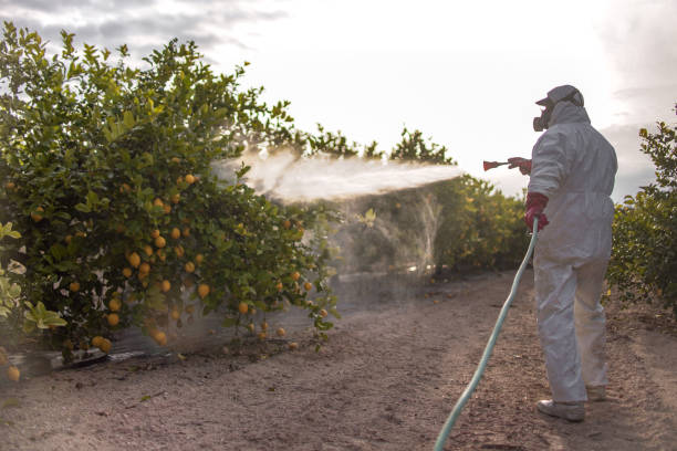 Best Best Pest Control Companies  in Alanes Ridge, CA