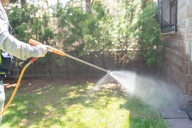 Best Pest Prevention Services  in Alanes Ridge, CA