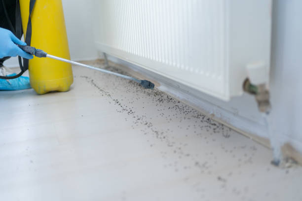 Best Pest Control for Businesses  in Alanes Ridge, CA