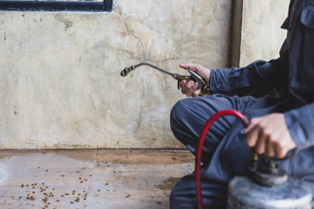 Best Pest Control Near Me in Acalanes Ridge, CA